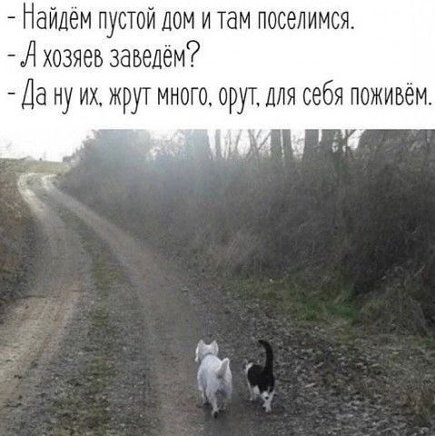 Найдем пустой дом и там поселимся Л хозяев заведем Да ну их жрут много орут для себя поживем