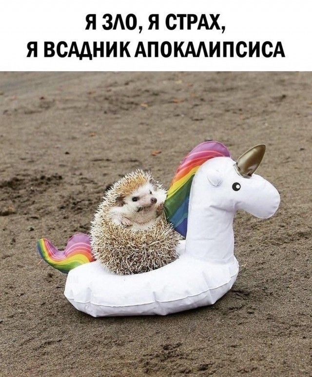 Я ЗАО Я СТРАХ Я ВСААНИКАПОКМИПСИСА