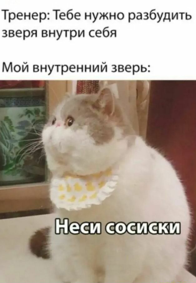 Тренер Тебе нужно разбудиъ зверя внутри себя Мой внутренний зверь ШЁЕШШ