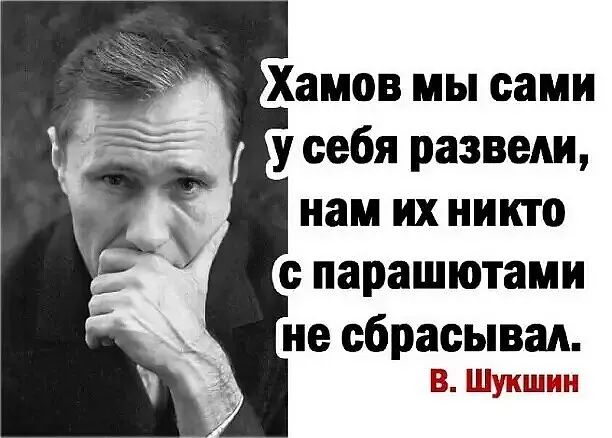 в Шишки