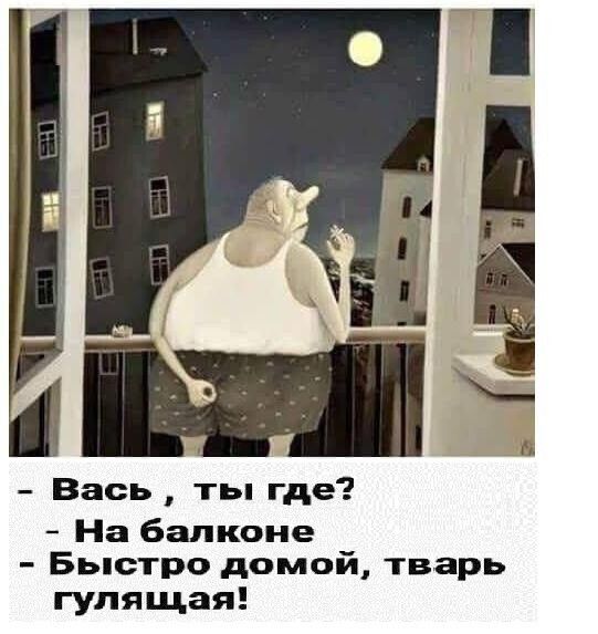 Вась ты где На балконе Быстро домой тварь гулящая