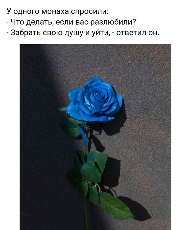 У одного монаха спросили Что делать если вас разлюбили Забрать свою душу и уйти ответил он
