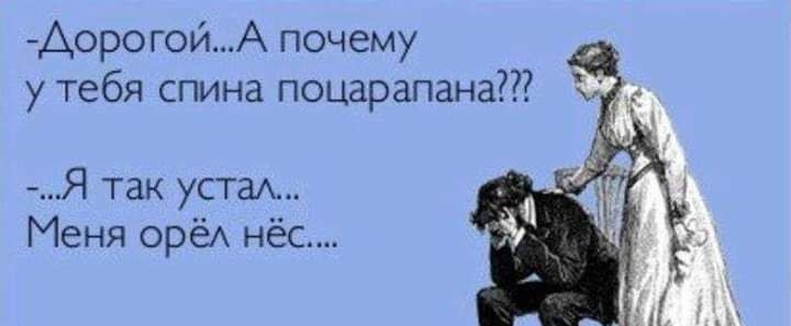 АорогойА почему у тебя спина поцарапана Я так устам Меня орёА нёс Аиша сот