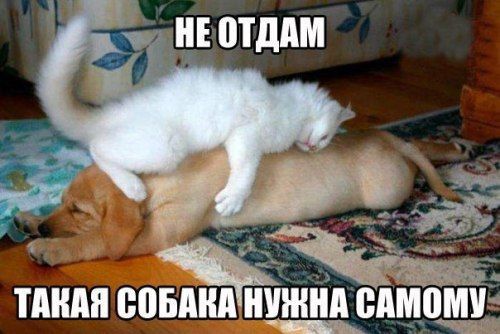 _ ПМ ВЦ едмп __ т Я
