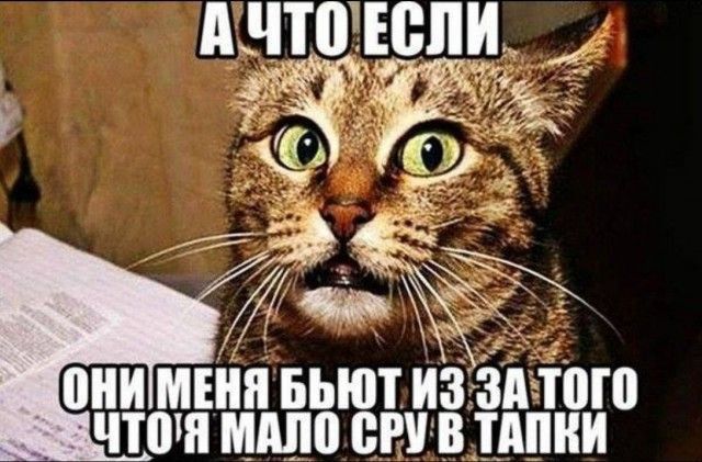 пни Мііііі Бьют из пътогп чтоііі іііііію в дпни