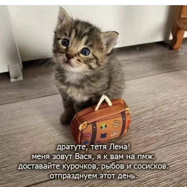 досгавайте курочков рыбов и ос скс3 отпразднуем этот день_ і