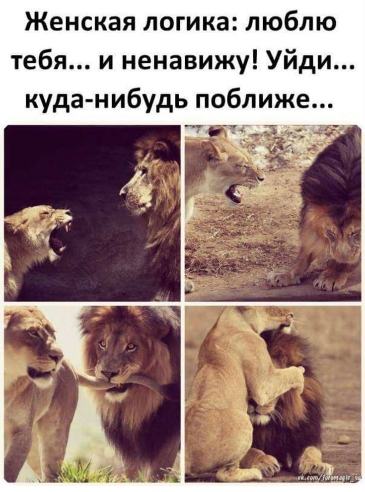 женская ЛОГИКЗ ЛЮБЛЮ тебя и ненавижу Уйди куда нибудь поближе