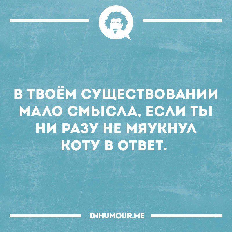 _Ф в твоём существомнии нААо СМЫСАА ЕСАИ ты ни РАЗУ на мини коту в ответ жнинопцн