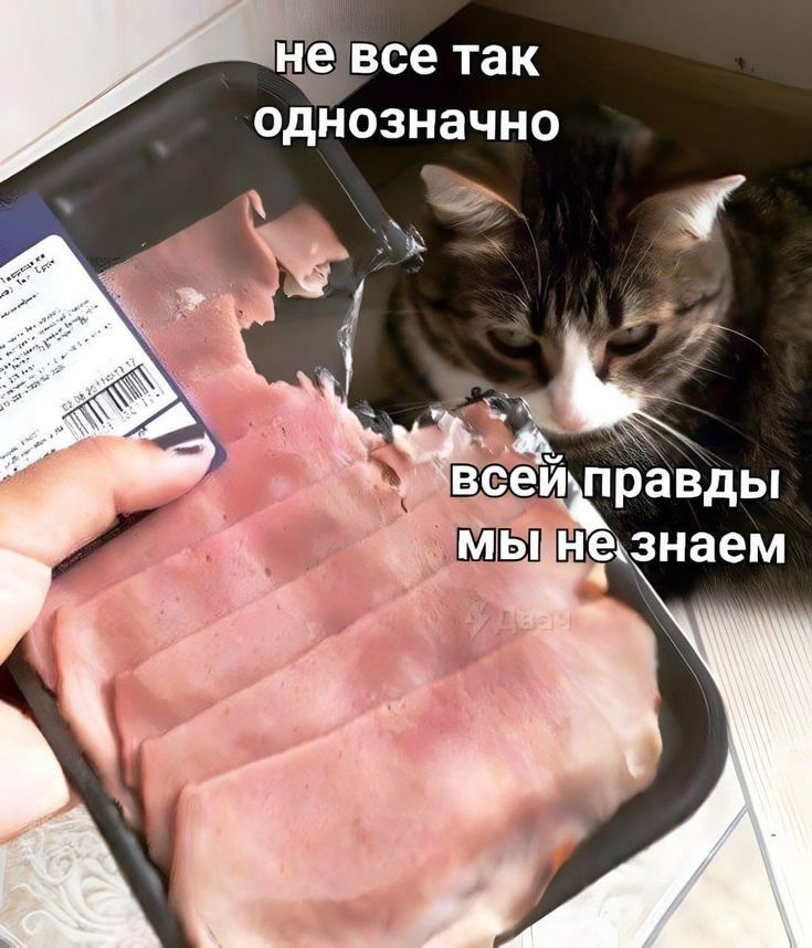 не все так однозначно ШШ незнаем