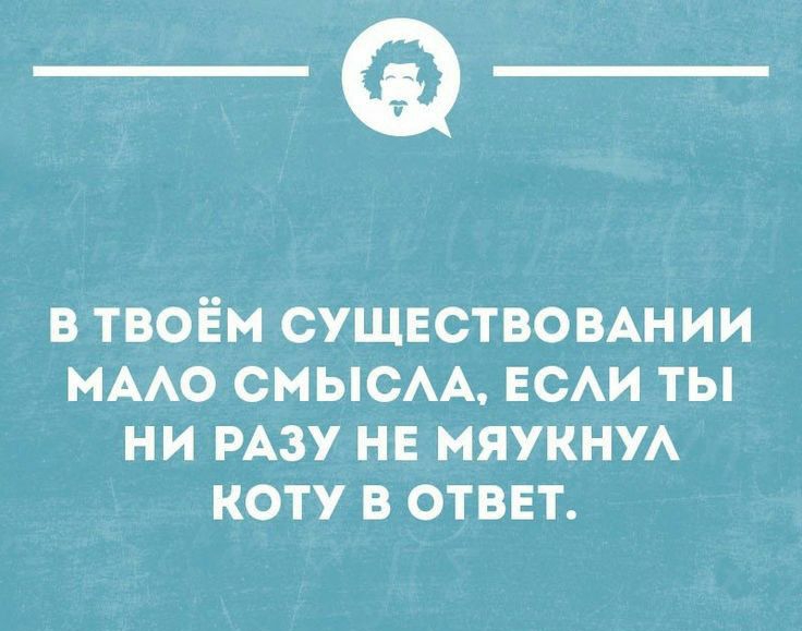 _Ф в твоём сущвствомнии МААО СМЫСАА ЕСАИ ты ни РАЗУ нв мяукну коту в ответ минными