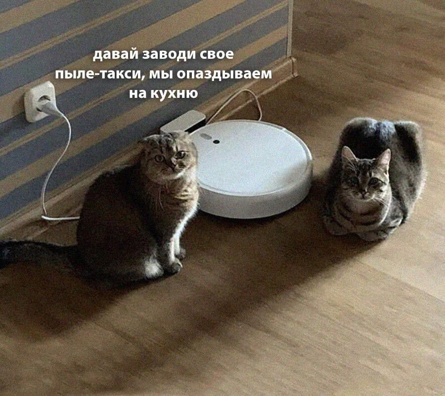 ший ином дви пише пки мы спиды зем иа куют