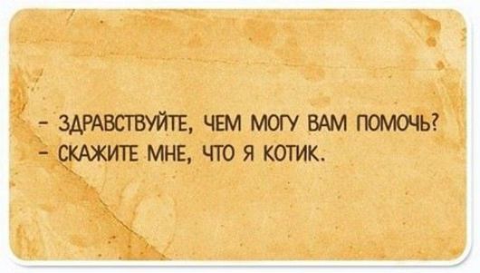 3АРАВСТБУЙТЕЧШМОГУММГЬ МНЕ ЧТО Я КОТИК