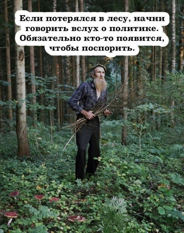 Если потерялся в лесу начни ГОВОРИТЬ вслух 0 политика Обязательно кто то появится чтобы ОСППРЪГГЬ
