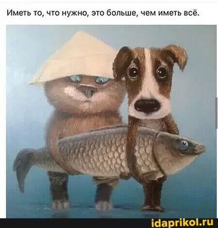 Иметь то что нужно это больше чем иметь все