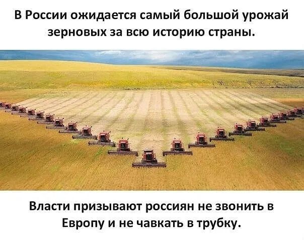 В России ожидается самый большой урожай зерновых за всю историю страны Впасги призывами россиян не звонит в Европу и не чавкать в трубку