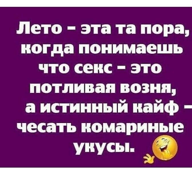 Лето эта та пора ногда понимаешь что секс это потливая возни а истинный кайф чесать иомариные уиусы
