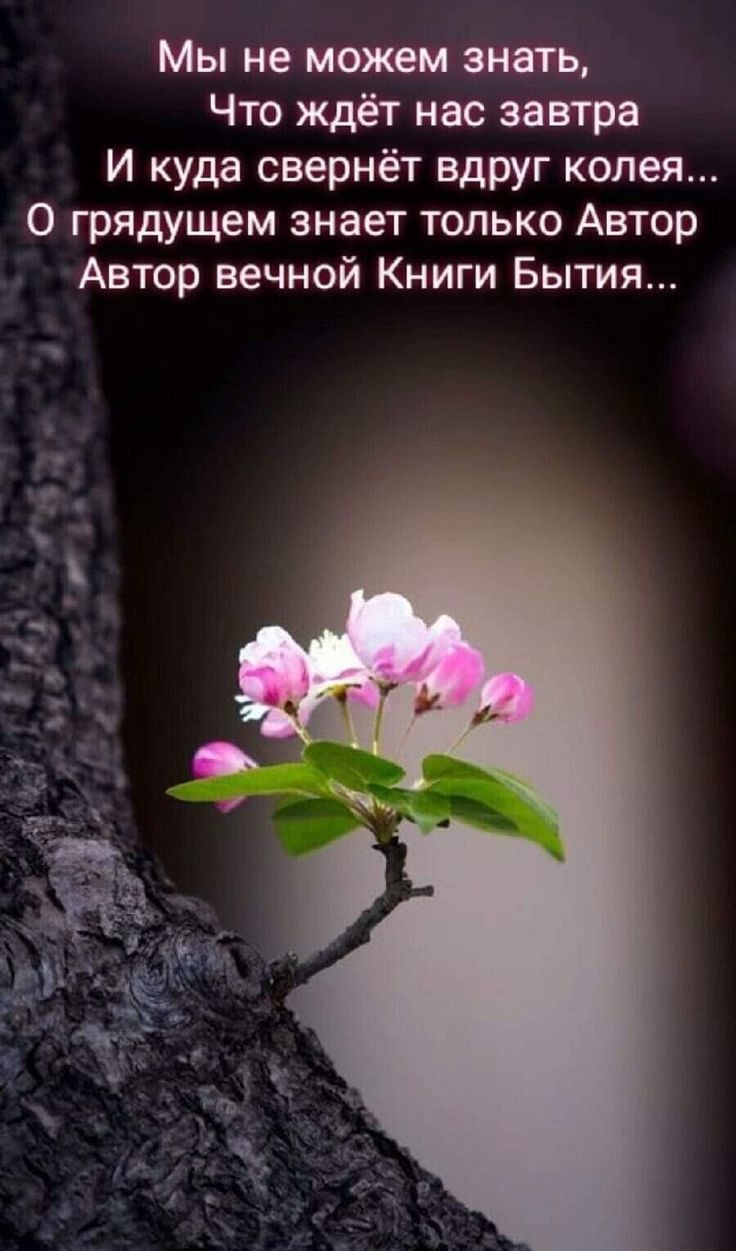 Мы не можем знать Что ждёт нас завтра И куда свернёт вдруг колея О грядущем знает только Автор Автор вечной Книги Бытия