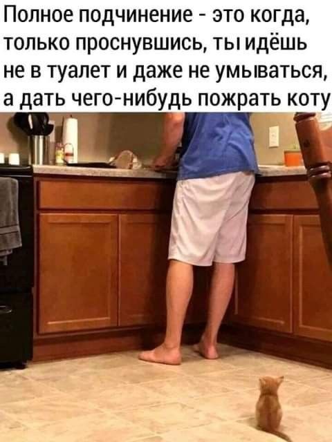 Полное подчинение это когда только проснувшись ты идёшь не в туалет и даже не умываться а дать чего нибудь пожрать коту