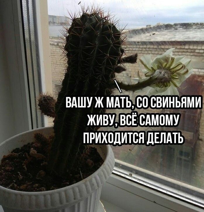 вдшужмдтьЁЁЪвиньнми живуГЕЕсАмому приходитвндвлдть