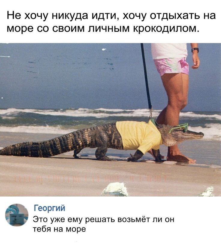 Не хочу никуда идти хочу отдыхать на море 00 СВОИМ ЛИЧНЫМ КРОКОДИПОМ Георгий это уже ему решать возьмё1 ли он тебя на море