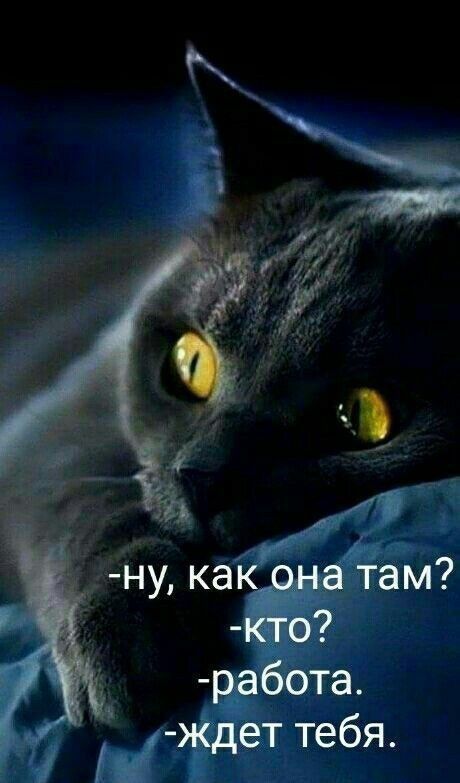 Э ё у д ну как а там 0 работа ждет тебя зі