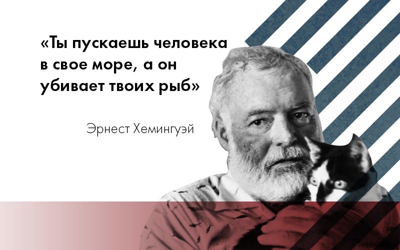 Ты пускаешь чепопекч свое море а он убивает твоих рыб э Хеммгучй