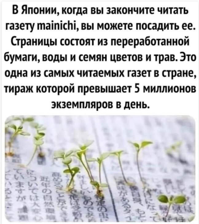 В Японии когда вы закончите читать газету таіпісЬі вы можете посадить ее Страницы состоят из переработанной бумаги воды и семян цветов и трав Это одна из самых читаемых газет в стране тираж которой превышает 5 миллионов экземпляров в день
