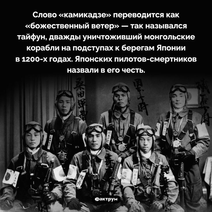 Слово камикадзе переводится как божесгвеииый ветер так назывался тайфуи Анапы уничтоживший монгольские корабли на подргупах к берегам Японии в 1200х шддх Японских пилоты смертников назвали в его честь