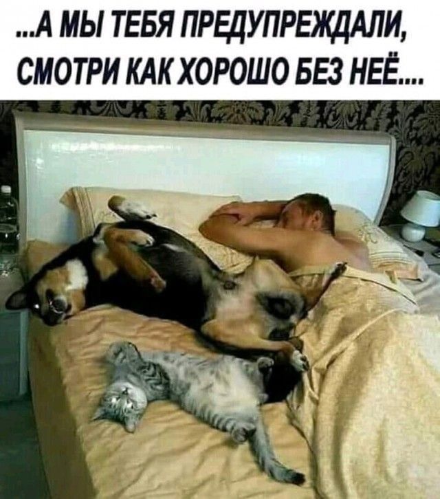 А мы тввя прщупрыщдли смотри клкхорошо 553 неё