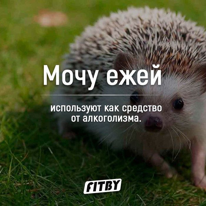 ИСПольэуют как средство от алкоголизма