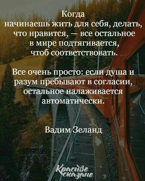 авится все остальное в мире ПОДТЯГИВЗСГСЯ