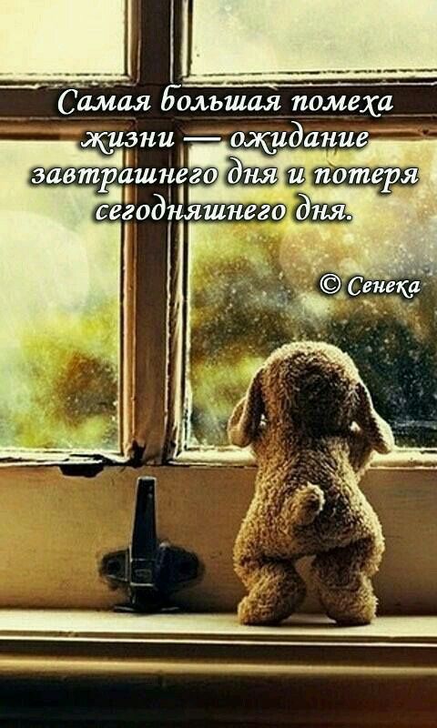 _ 1 амая Большая помеха 23 сегодняшнего