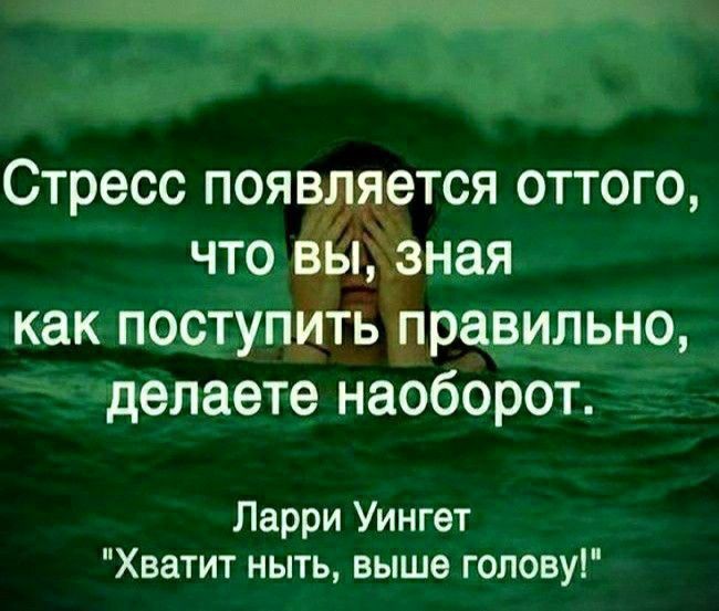 Стресс появёёется оттого что в дивная как поступить правильно делаете наоборот Ларри Уингет Хватит ныть выше голову