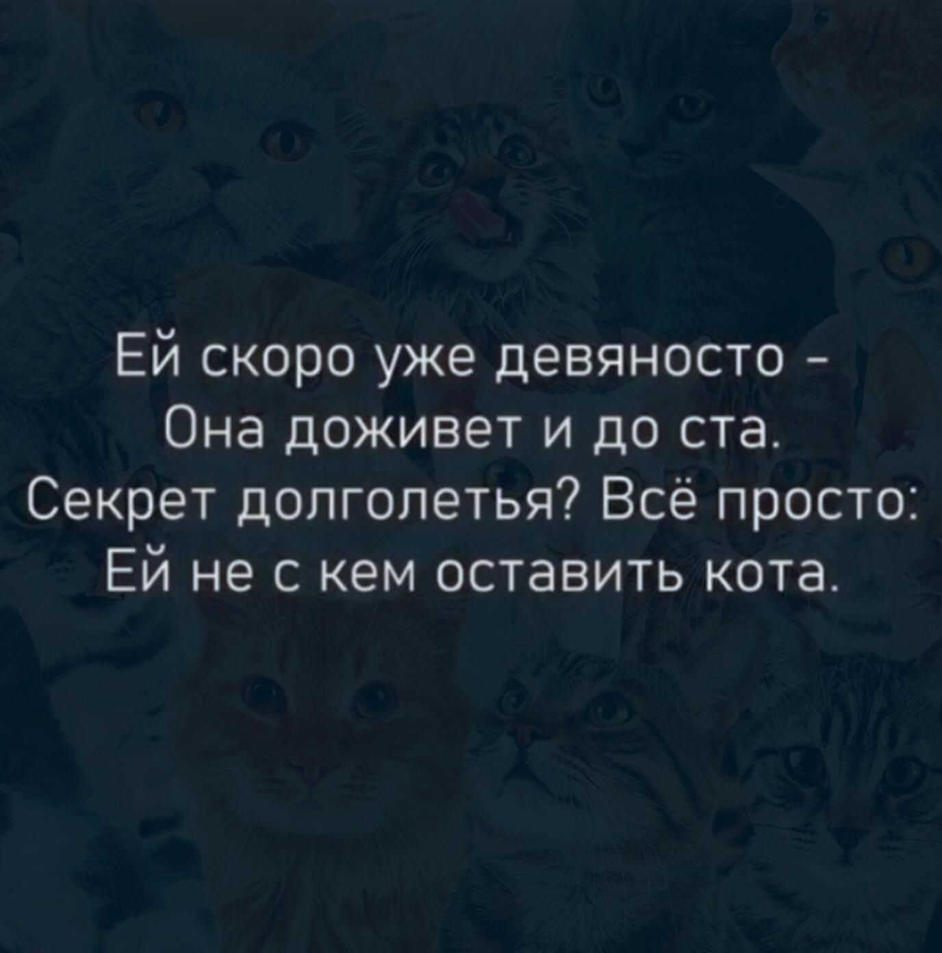 Ей скоро уже девяносто Она доживет и до ста Секрет допгопетья Всё просто Ей не с кем оставить кота