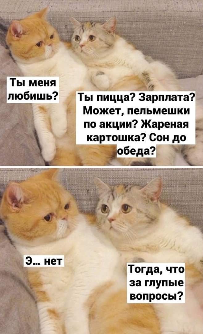 Может пельмешки по акции Жареная картошка Сон до 5 Тогда что за глупые вопросы