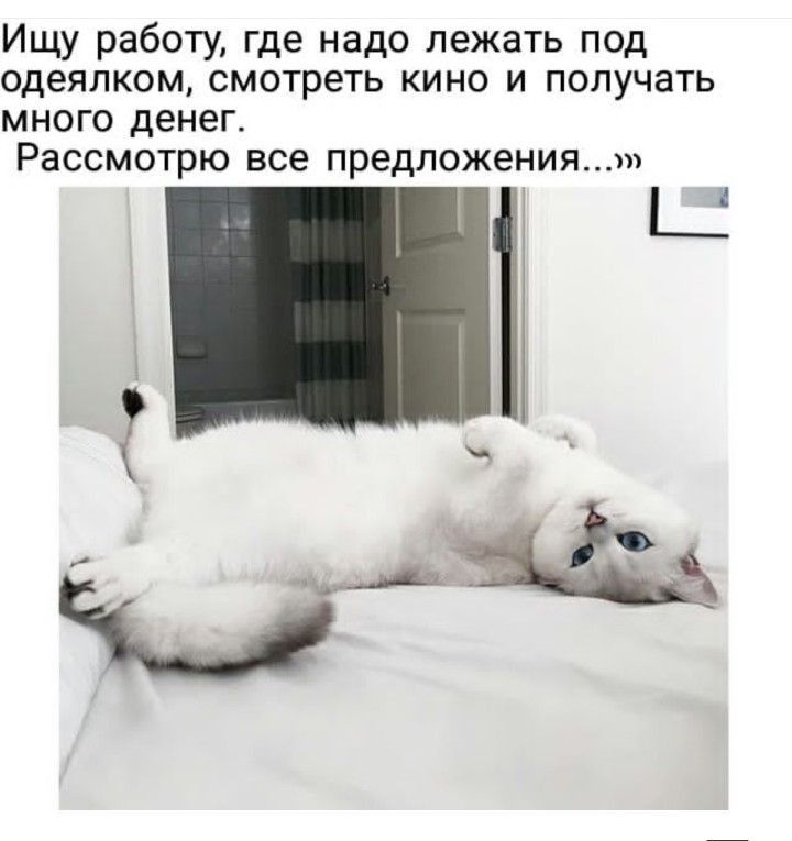 Ищу работу где надо лежать под ОДЭЯПКОМ СМОТРЕТЬ КИНО И ПОПУЧЗТЬ много денег РЭССМОТРЮ все предложения Ъ Ц 4