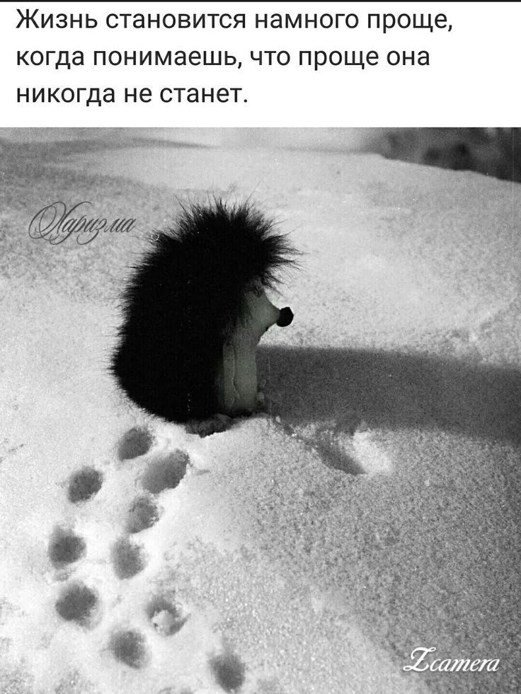 ЖИЗНЬ СТаНОВИТСЯ НЕМНОГО ПРОЩЕ КОГДЭ понимаешь ЧТО проще она НИКОГДЭ не станет