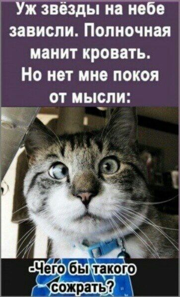 Уж звёзды на небе зависли Полночная манит кровать Ё Но нет мне покоя от мыоли