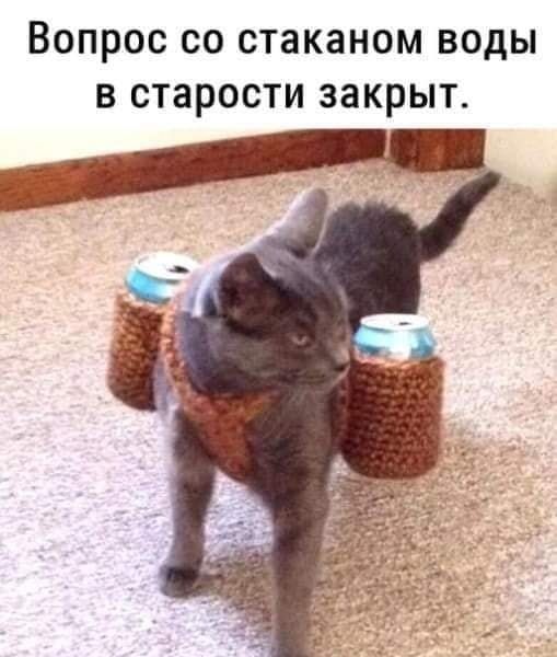Вопрос 00 СТЗКЗНОМ ВОДЫ В СТЗРОСТИ ЗЗКРЫТ