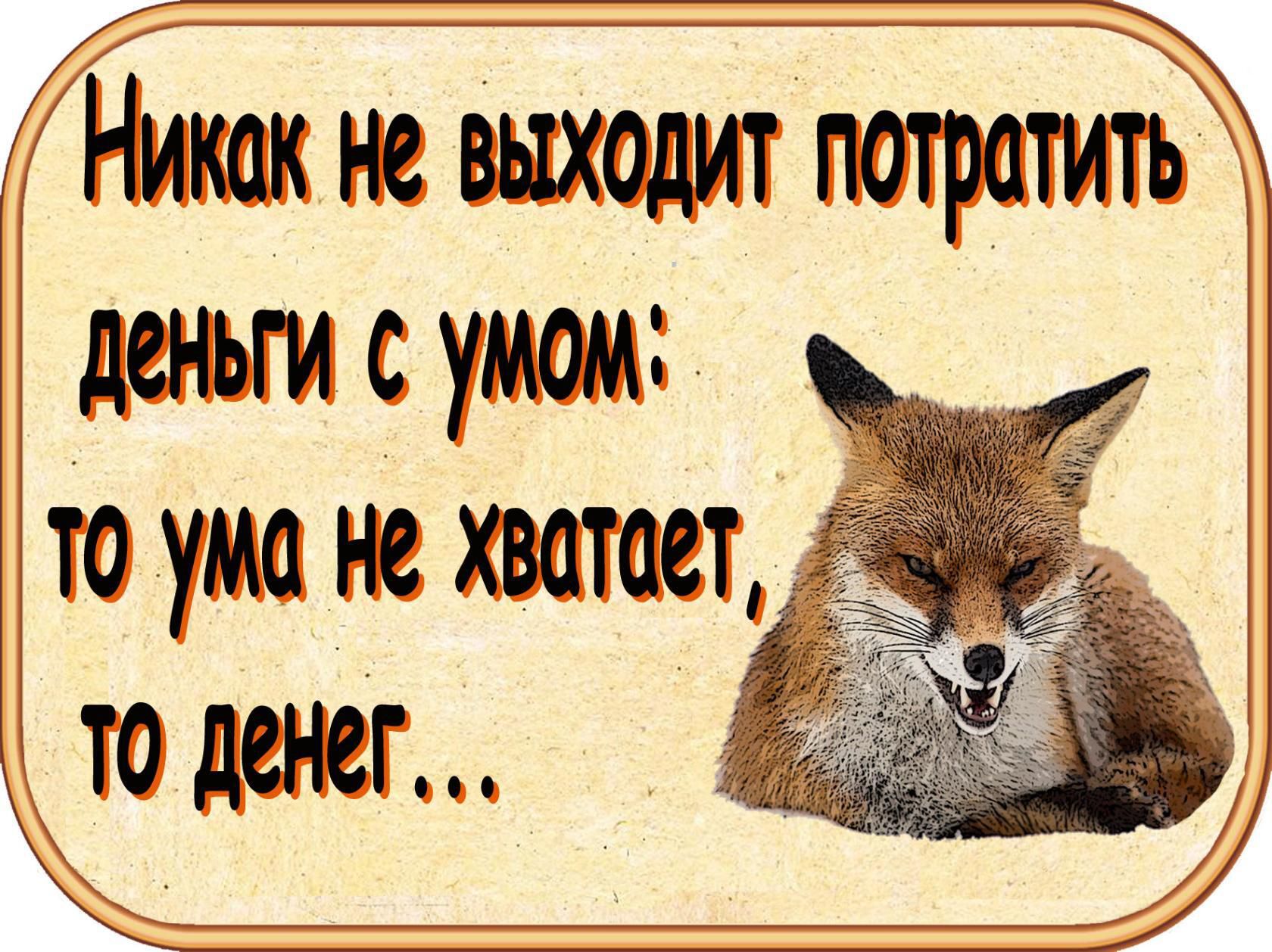 Никак не выходит потратитЁ деньги с умом то ума не хватает то денег