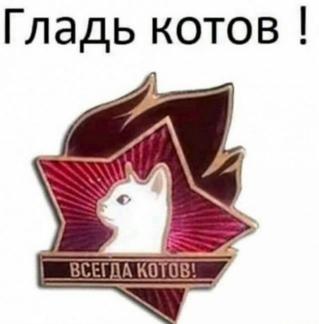 Гладь котов