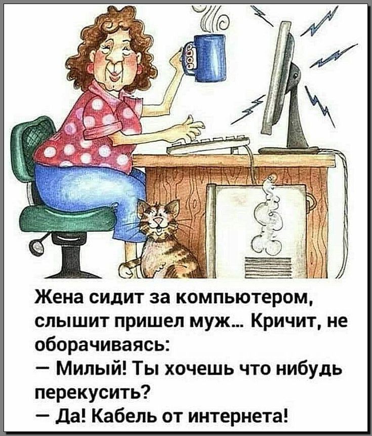 д ЁЁ Жена сидит за компьютером слышит пришел муж Кричит не оборачиваясь Милый Ты хочешь что нибудь перекусить _ Да Кабель от интернета