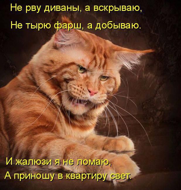 Не рву диваны а вскрываю Не тырю п добываю и а дщёггт А прИнбШУвКва Каюмаюица шатания ш