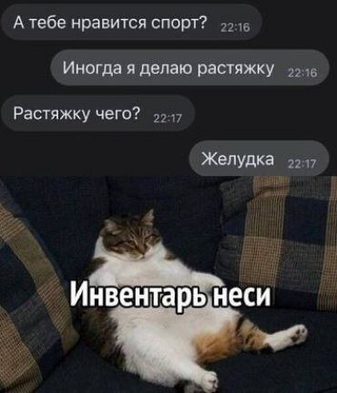 А тебе нравится спорт Иногда я делаю растяжку 2215 Растяжку чего 22 ЖЁЛУДКа пп Инвентарь неси