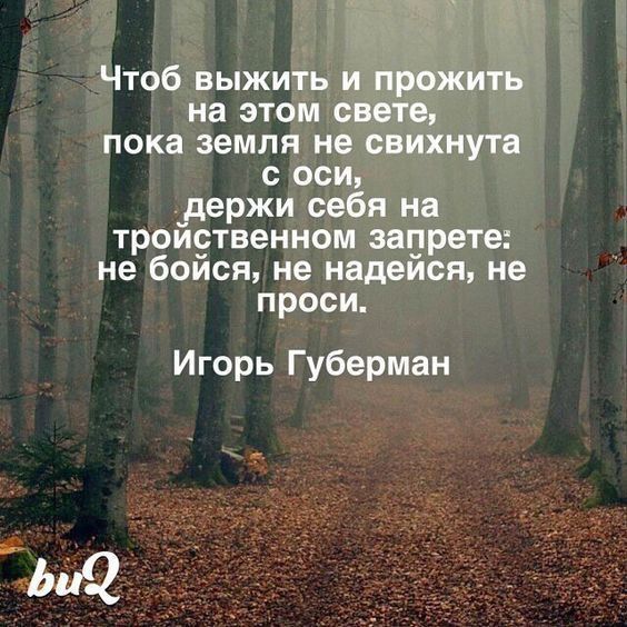 Чтоб выжить и прожить на этом свете пока земля не свихнута с оси _держи себя на трои9твенном запрете не боися не надеися не проси Игорь Губерман
