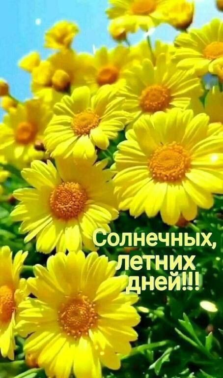 Солнечных ы летних дней 1