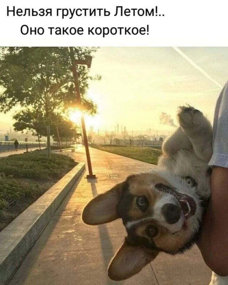 епьзя грустить Летом Оно такое короткое