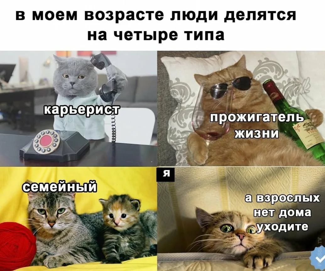 В моем ВОЗРЗСТЕ ЛЮДИ дЕПЯТСЯ на четыре типа 5 прожигатель жизни _а врцспых нет дома дхкходите __ _ я