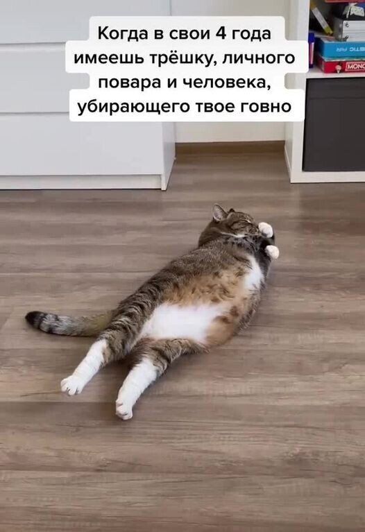 Когда в свои 4 года имеешь трёшку личного повара и человека __ убирающего твое говно