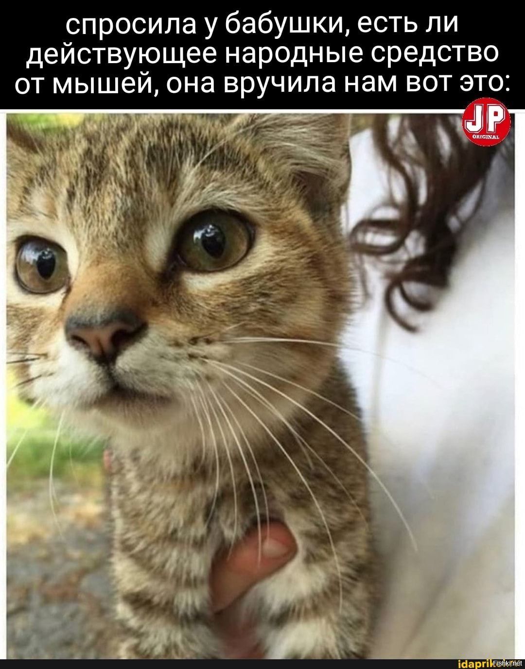 спросила у бабушки есть ли действующее народные средство от мышей она вручила нам вот это